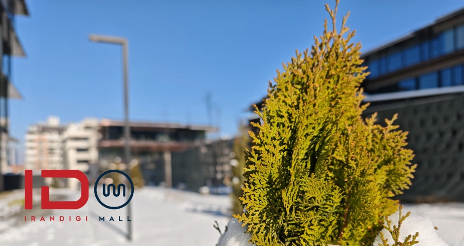 بررسی Xiaomi 15 Ultra