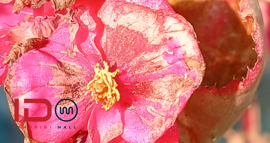 بررسی گلکسی A16 سامسونگ Samsung Galaxy A16 4G