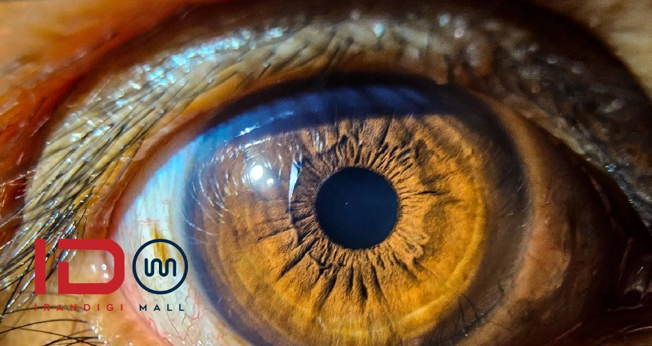 بررسی قابلیتهای عکاسی ماکرو در Samsung S23 Ultra